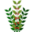 Smoothbrain-Foraging-1.0.7 icon