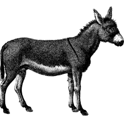 Smoothbrain-PackHorse icon