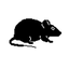 Snowlance-Rats-1.4.2 icon