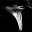 SolidStone-Scp_049_The_Plague_Doctor-0.8.6 icon