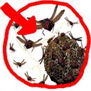 Solon-CustomBeehiveSpawns icon