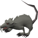 Spaggity-Rats_Boombox-1.0.2 icon