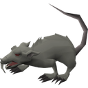 Spaggity-Rats_Custom_Paintings-1.0.0 icon
