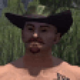 Springey-NedornCosmetic icon