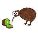 Stonebirds-StoneBirdsplus-1.1.1 icon