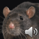 StormAndGeez-IsNotRetro_Voice_Cosmetic-1.0.0 icon