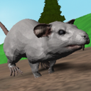 Sunchipp-Rat icon