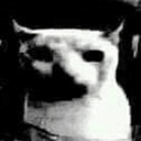 Swagaroonie-NookinNuts icon