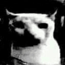 Swagaroonie-NookinNuts icon