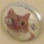 TCE-Dojans_suits-1.0.4 icon