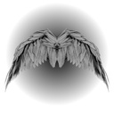 TQN-AngelWings-1.2.0 icon
