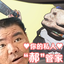 TShine-HAOButler-1.0.0 icon