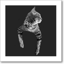 TacoMissile-TacoCatS icon