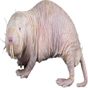 Tapeduprat-Somerattyskins icon