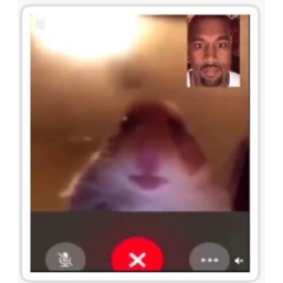 TeamBoy113-LethalFaceTime icon
