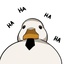 TeamDuck-Meme_Music-1.0.5 icon