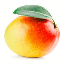 TeamMango-Mangos_ModPack icon
