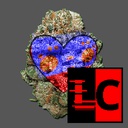 Team_FTA-FTA_Boombox_Mixtape-1.0.0 icon