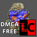 Team_FTA-FTA_DMCA_Free_Mixtape-1.0.0 icon