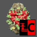 Team_FTA-FTA_Gambling_Expansion icon