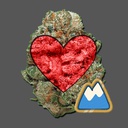 Team_FTA-FTA_PEAK_Pack icon