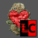 Team_FTA-Friendly_Toker_Pack-3.0.0 icon