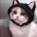 Team_QP-Mod_Pack_QP icon