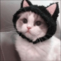 Team_QP-Mod_Pack_QP icon