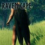Tequila-Raven_Cape-2.4.1 icon