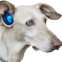 TestAccount666-DogSoundFix-1.1.1 icon