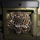TestAccount666-ForceGrabItem-1.2.1 icon