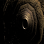 TestAccount666-WormInsides-1.0.0 icon