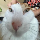 TeuPai-ModPack_do_Teu_Pai icon