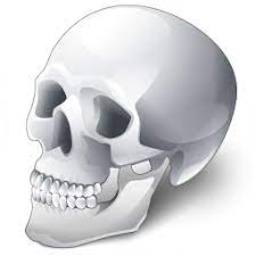 TheDRA-TheDRA icon