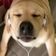 TheDogeThatSilent-KeepPlaying-1.0.0 icon