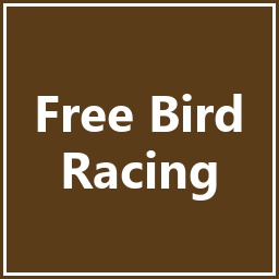 TheMorningStar-Free_Bird_Racing icon