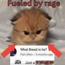TheSillyTEAM-Kitty_Suits-0.3.1 icon