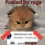 TheSillyTEAM-Kitty_Suits-0.3.4 icon