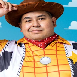 TheYellowTowel-WoodyToyStorySuit icon
