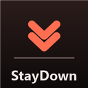 The_Dynamic_Team-StayDown icon
