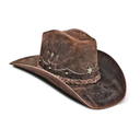 Theronguard-CowboySwaps-1.0.0 icon
