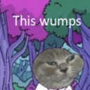 Tism_Schism-Lethal_Wumpany_2 icon