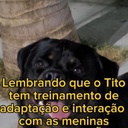 Tito-Tito_Quality_Life_Mod icon