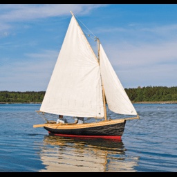 Toadally-Boat icon