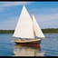 Toadally-Boat-1.0.0 icon