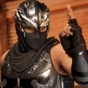 TonyPizza-RyuHayabusa-0.1.0 icon
