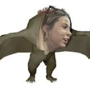 Turmoil-Baboon_Hawk_Tuah icon