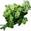 Ultimate_Gaming_Crew-oregano_music-1.0.0 icon