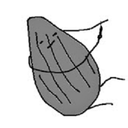 Unreliables-RiskierRain-1.1.0 icon