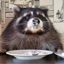 Vaguely-TheLads_UPDATE2 icon